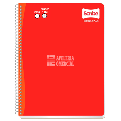 CUADERNO SCRIBE PROFESIONAL 200 HOJAS